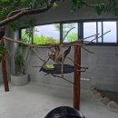 원구농장 이미지