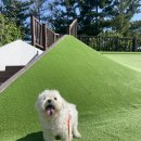 버드내도서관 강당 | [수원] 어린이랑 공부하고 산책하고 쉴 수 있는 버드내도서관📚