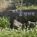 제주숲한의원 이미지