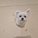 개러리아 송파점 이미지