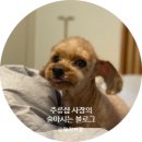 Mr.박 - 영도구 청학동 | 내돈! Mr박의 돈워리 고기집 동네주민의 솔직한 후기