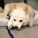 만성중학교 이미지