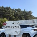 갤러리밥스 | 강릉여행 필수코스 초당옥수수 커피 카페 ‘갤러리밥스’ 웨이팅 후기