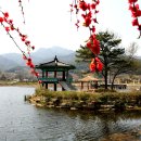 죽동체육공원 이미지