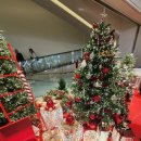 힐스114공인중개사사무소 이미지