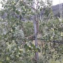 영중면주민자치센터 이미지