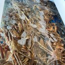 바다킹수산 이미지