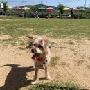 CU(명동삼거리점) 이미지