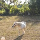 가온누리 게스트하우스 이미지