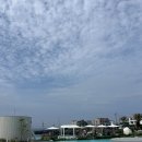 CU 언양동문길점 | 제주호텔추천 신라스테이 이호테우플러스 신라스테이이호테우플러스수영장 신라리워즈가입혜택