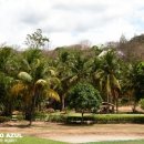 푸에르토 아줄 이미지