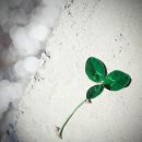 라비린토스 | 창조의 천재. 그러나 완벽하지 못한 인간