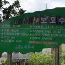 제주 올레길 19코스 이미지