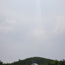 성안건강원