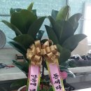 경주여중 앞