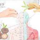 수인한의원 네이버블로그