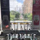 부숑(Bouchon) 이미지