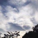 대성인터내셔날 이미지