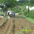 가덕농장 이미지