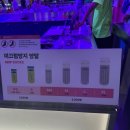짚퍼스트 | 4세&amp;돌 아기와 호캉스 4. 인스파이어 대형 키즈카페 &#34;바운스 더퍼스트&#34; 내돈내산 이용 후기