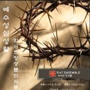 피아트앙상블 미사봉헌 이미지