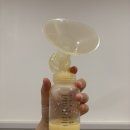 더 아이리스 산후조리원 | [출산일기] 당산 더아이리스 산후조리원 내돈내산 후기