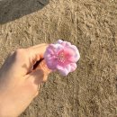 주말라인댄스(토) | 첫 하프마라톤 무사히 완주🌸 (ft. 기록, 준비물, 플레이리스트, 전날 떡볶이 먹으라고?)