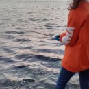 볼락 밤낚시 체험 이미지