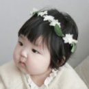 도다미네 이미지