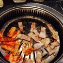 이랴꿀꿀 이미지