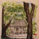 죽향대로 이미지