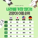 고양이나라 이미지