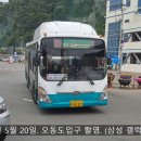 죽림석유 이미지
