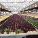 찬조농장 이미지