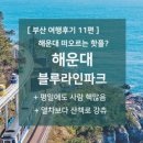 블루라인 이미지