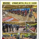 머슬드래곤짐 이미지