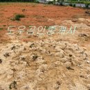 공단휴게식당 이미지