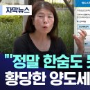 지산쪽 양도세 관련 뉴스 이미지