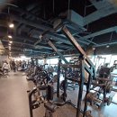 골져스 피트니스 이미지