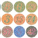 글라스스토리(송파점) 이미지