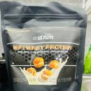 클래식 | 삼대오백 WPI 슈크림라떼맛 프로틴 단백질보충제 뉴클래식 후기