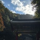 보라스카이타운 | [일기] 일상인 척 스며든 가을 여행기