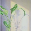 책+식물놀이터 이미지