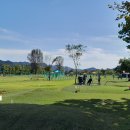 정년퇴직후 삶 : 파크골프를 아시나요 이미지