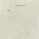 나무와 돌 이미지