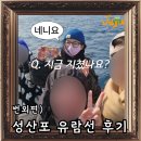 성산포 | 제주도 동쪽 여행지 - 우도 &amp; 성산일출봉 감상 코스 성산포 유람선 탑승 후기