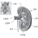 정연재 이미지