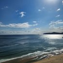 부산바로고 | 파라다이스 호텔 부산 조식 씨메르, 해운대 바로 앞 가족호캉스 후기