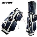 에스티엠(STM) 이미지