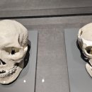 가야돈까스 이미지